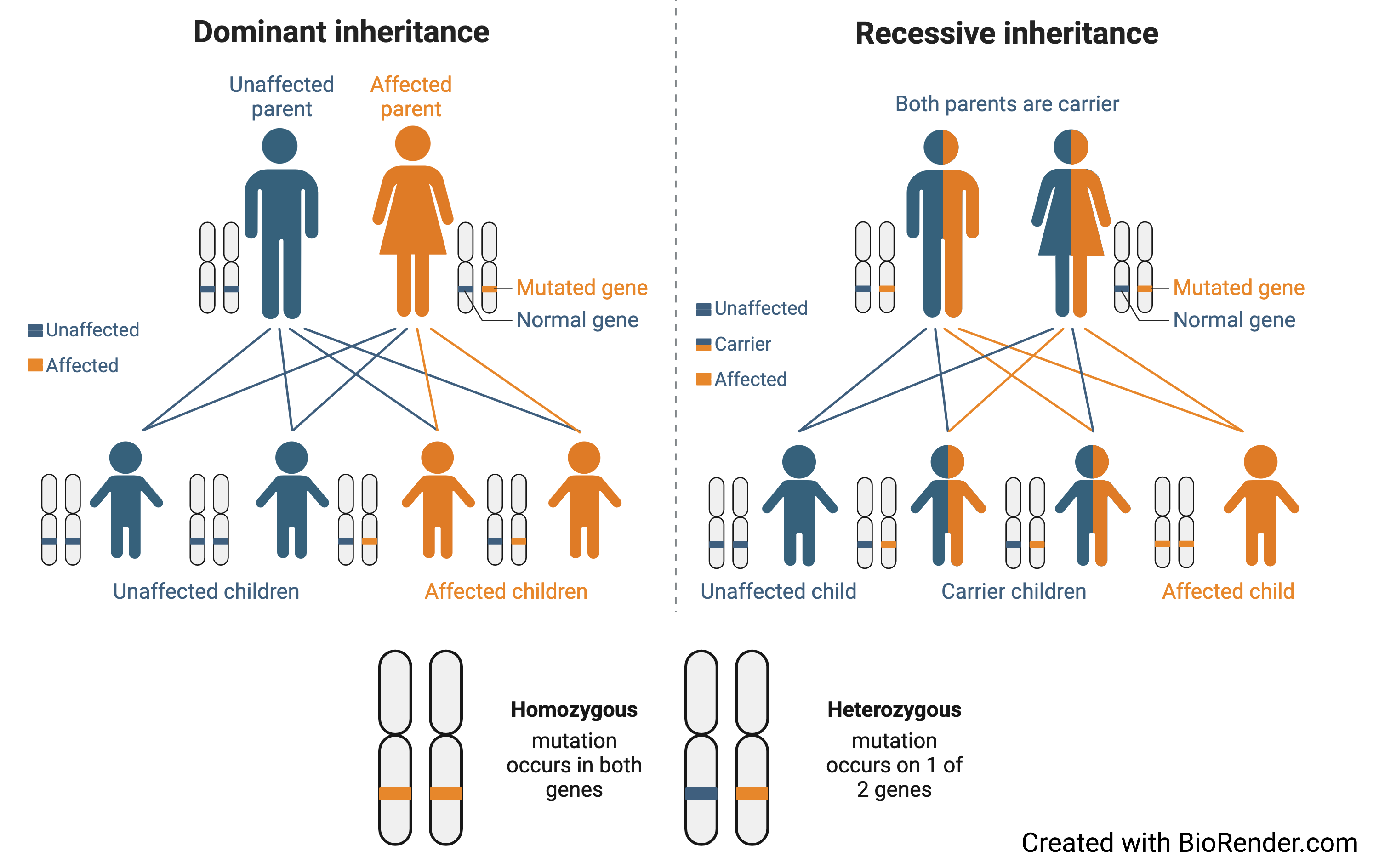Inheritance En